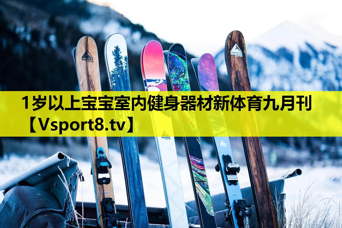 1岁以上宝宝室内健身器材新体育九月刊