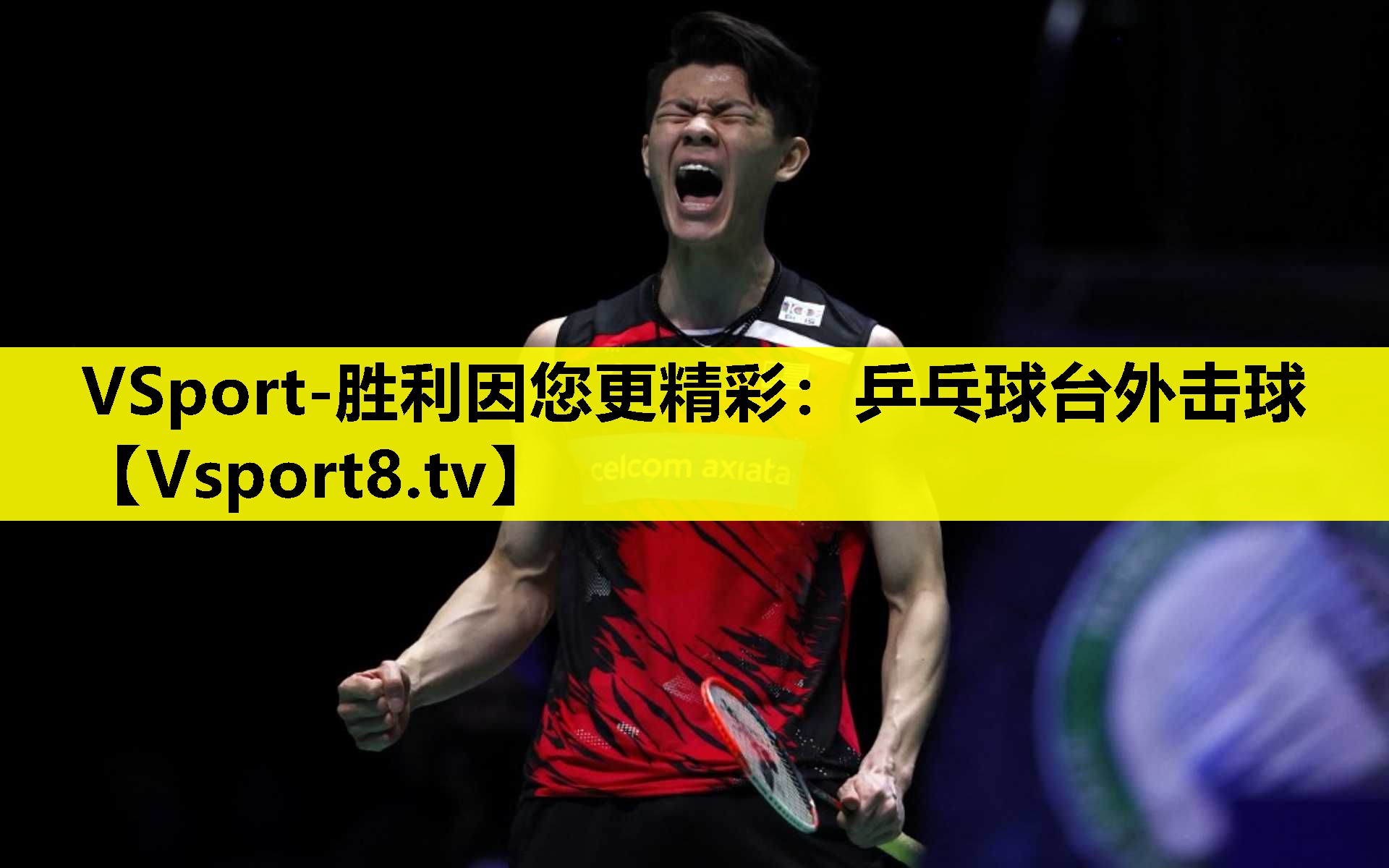 VSport-胜利因您更精彩：乒乓球台外击球