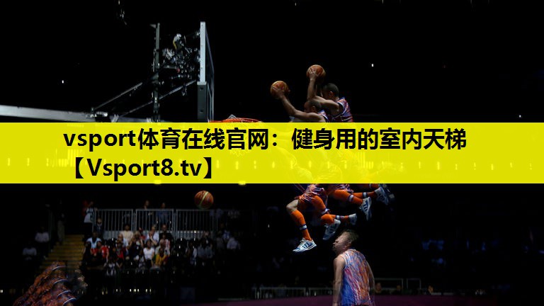 vsport体育在线官网：健身用的室内天梯