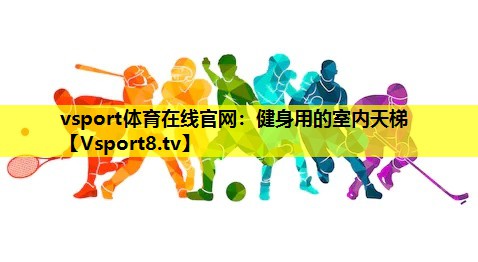 健身用的室内天梯
